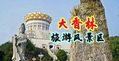 搞基搞黄操鸡视频中国浙江-绍兴大香林旅游风景区